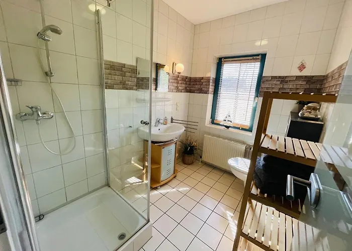 Neu! Sturmmoewe 600 Meter Vom Prerow